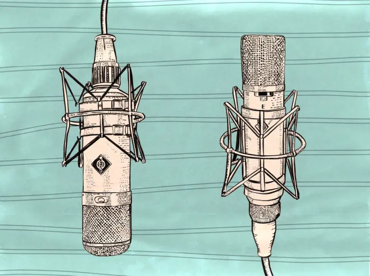 U47 and ELAM 251 Mics 24"x 18 Print