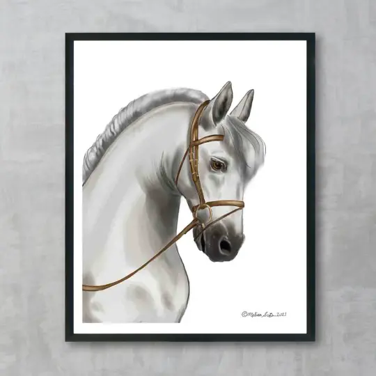 White Horse Fine Art Print