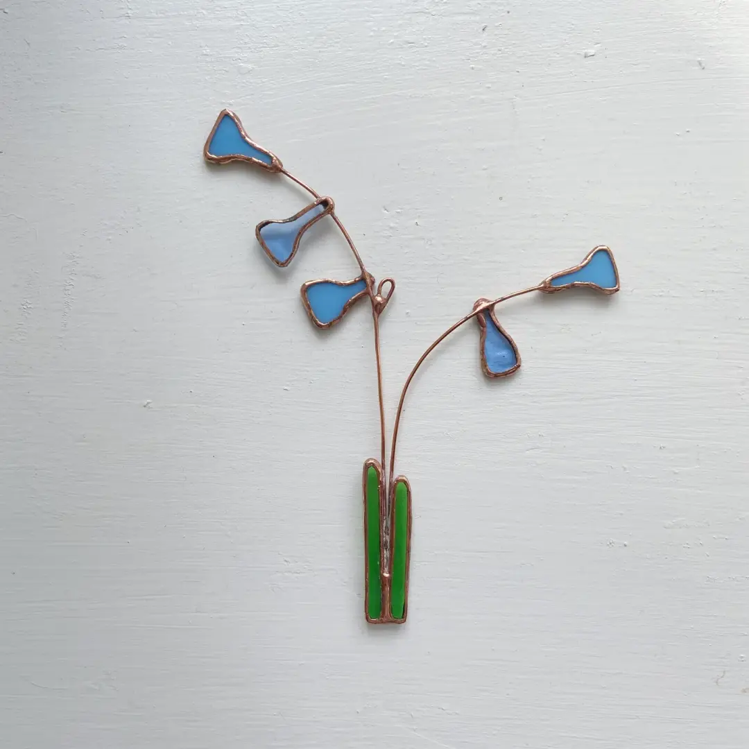 Bluebell no.11