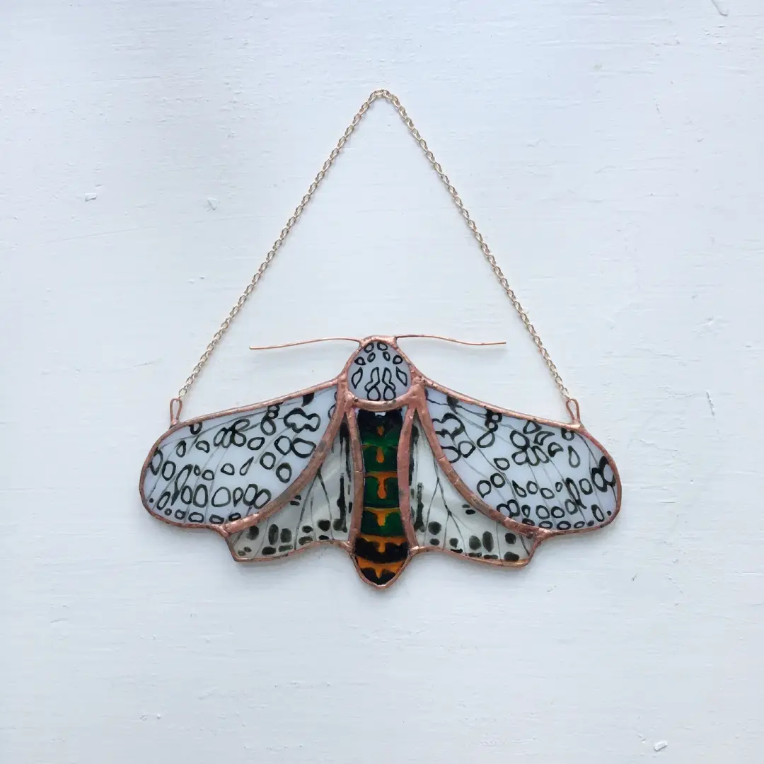 Leopard Moth