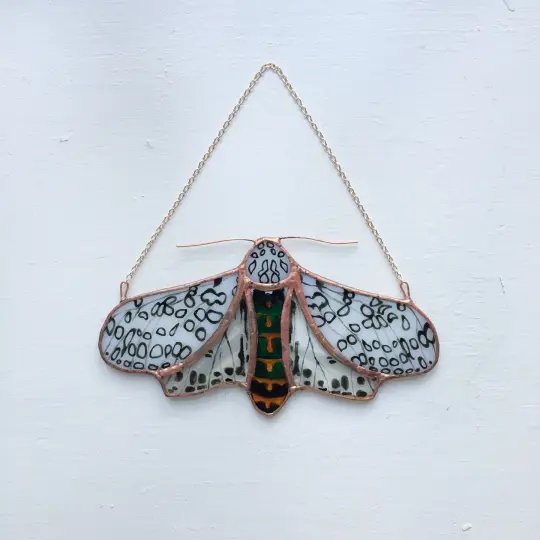 Leopard Moth