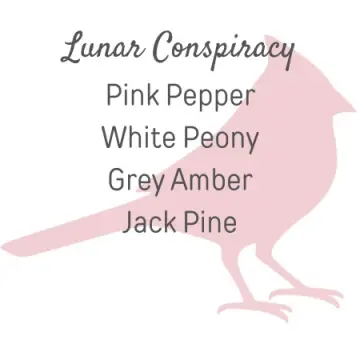 Lunar Conspiracy