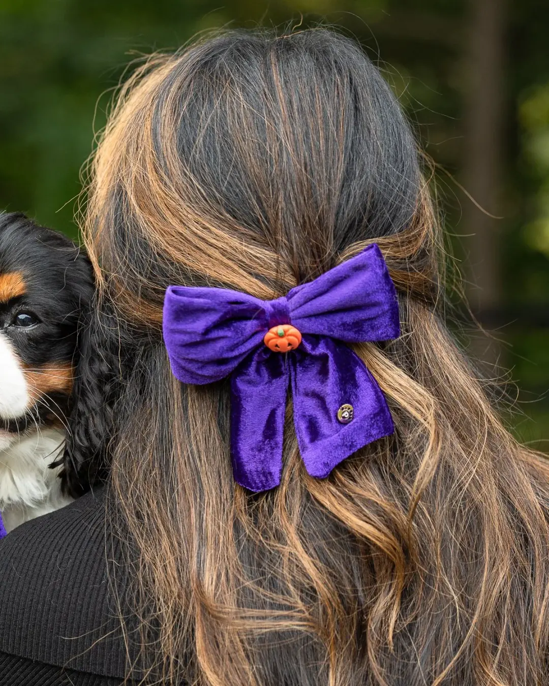 Halloween: Purple Velvet - Human Bow Barrette and Pet Bow - Bundle & Save