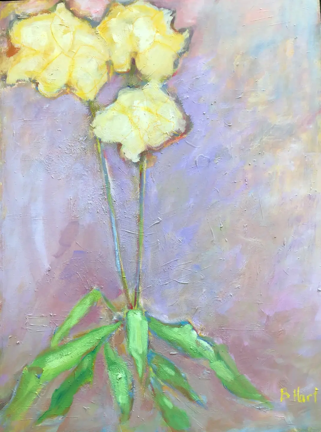 Tulip Story