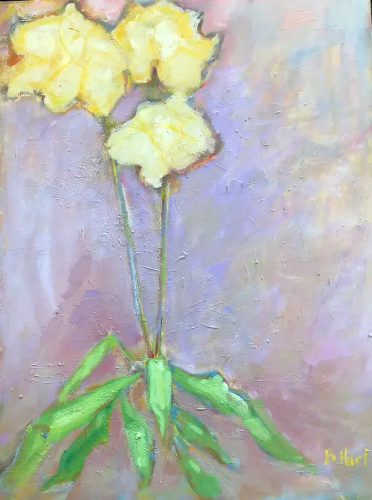Tulip Story
