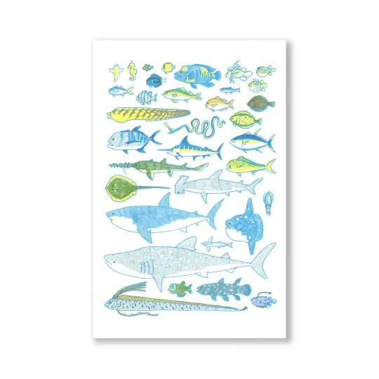 Saltwater Fishes