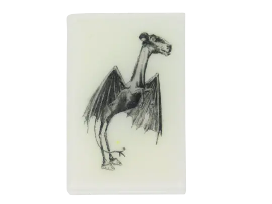 Jersey Devil Soap