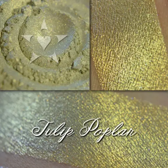 TULIP POPLAR - EYESHADOW