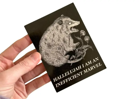 Marvelous Possum Sticker