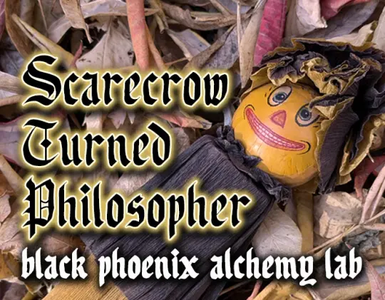 Scarecrow Turned Philosopher 2026 Perfume Oil