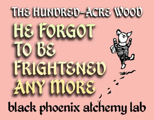 He Forgot To Be Frightened Any More Perfume Oil