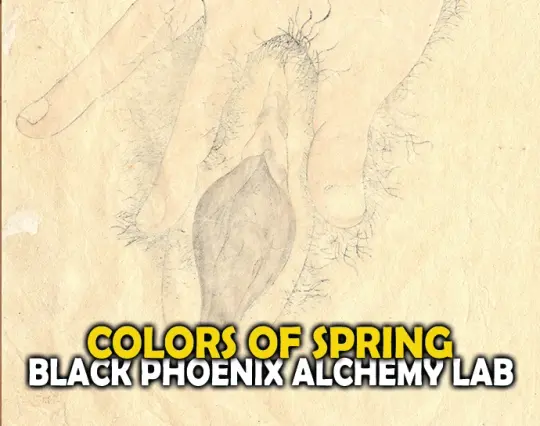 Colors of Spring Perfume Oil