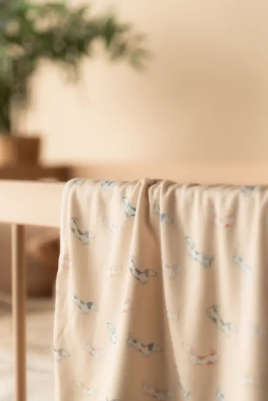 Bamboo Jersey Blanket- Rainbow Hot Dogs