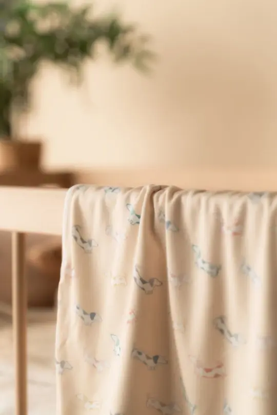Bamboo Jersey Blanket- Rainbow Hot Dogs