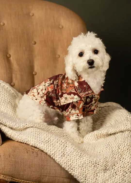 Ruby Pet PJ Set in Currant Floral
