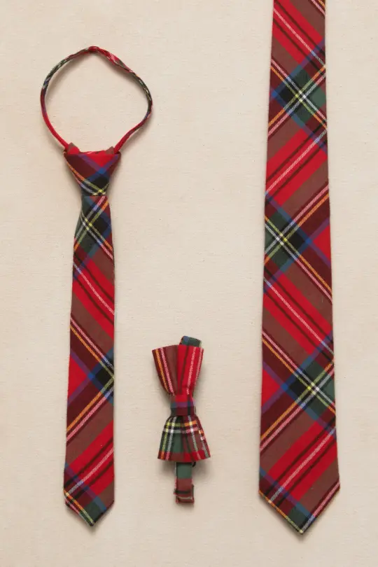 Ties in Holiday Plaid