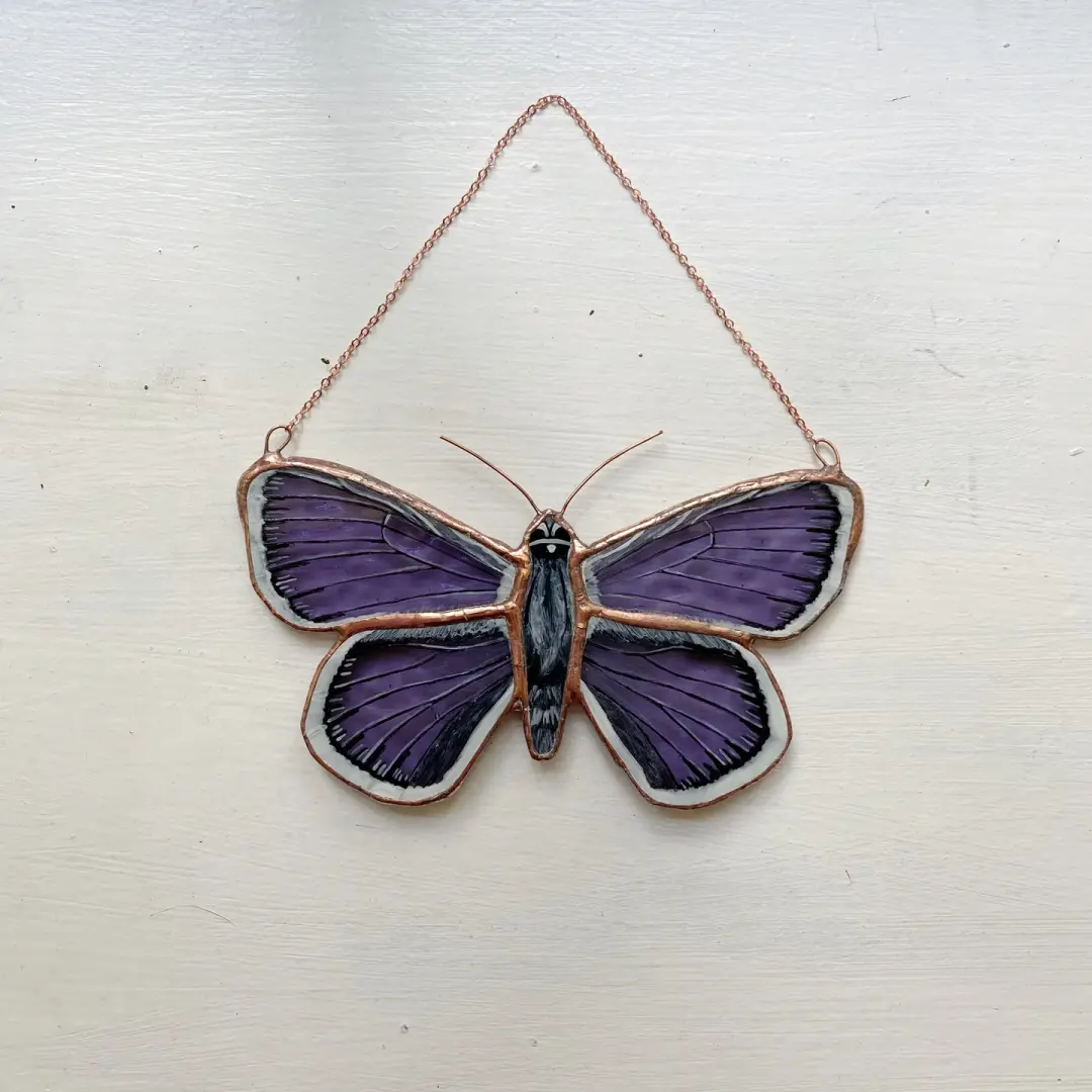Silver-Studded Blue Butterfly