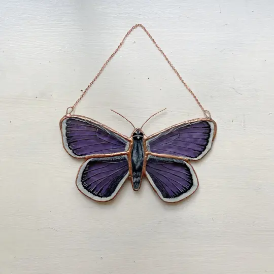 Silver-Studded Blue Butterfly
