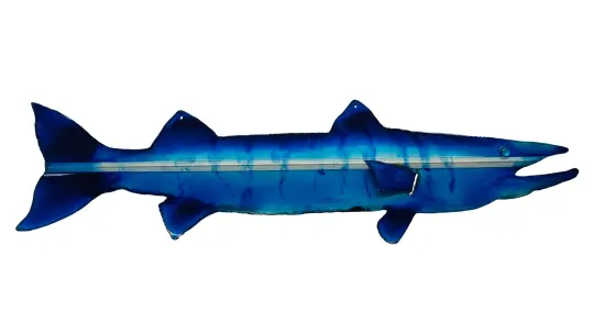 Barracuda