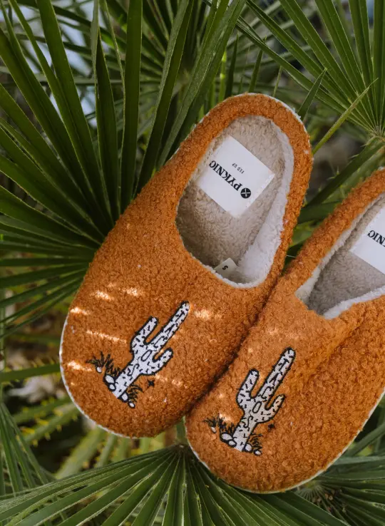 Cactus Tacos Slippers