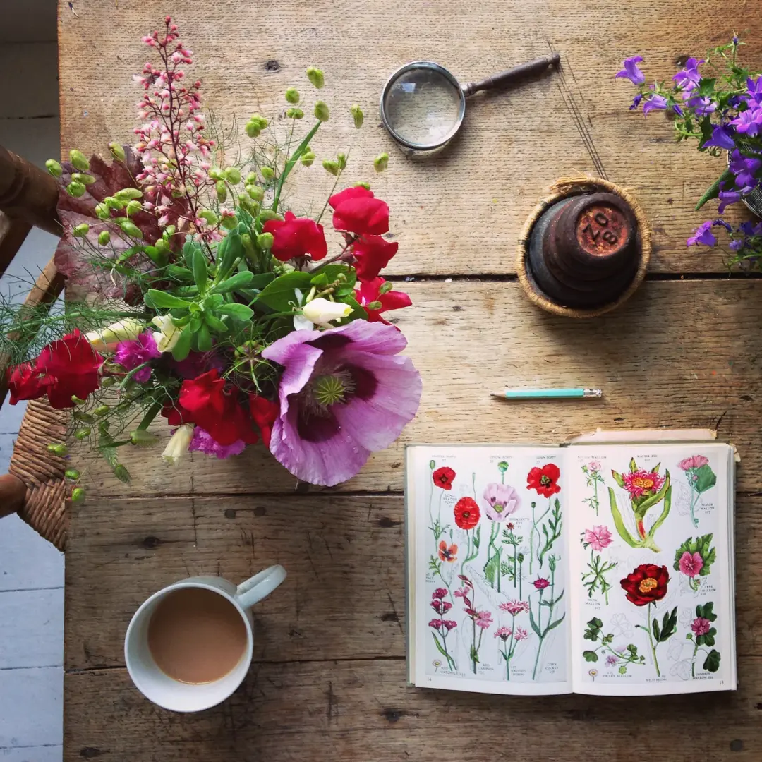 ‘Flower Finding’ - LIMITED EDITION, SIGNED PRINT