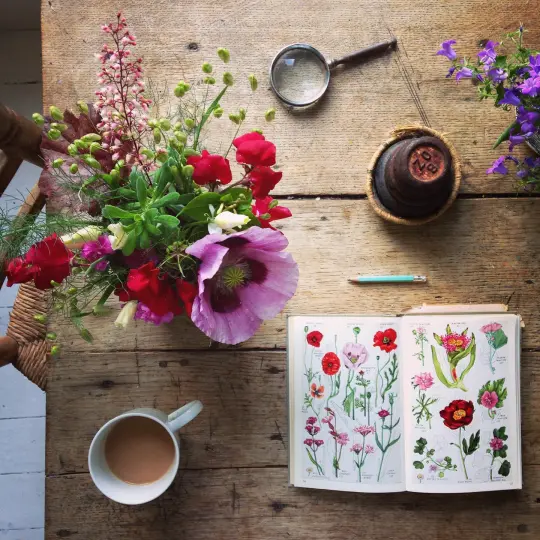 ‘Flower Finding’ - LIMITED EDITION, SIGNED PRINT