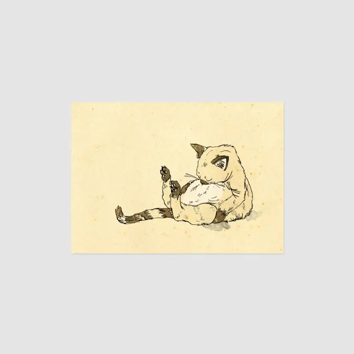 KATZE Card