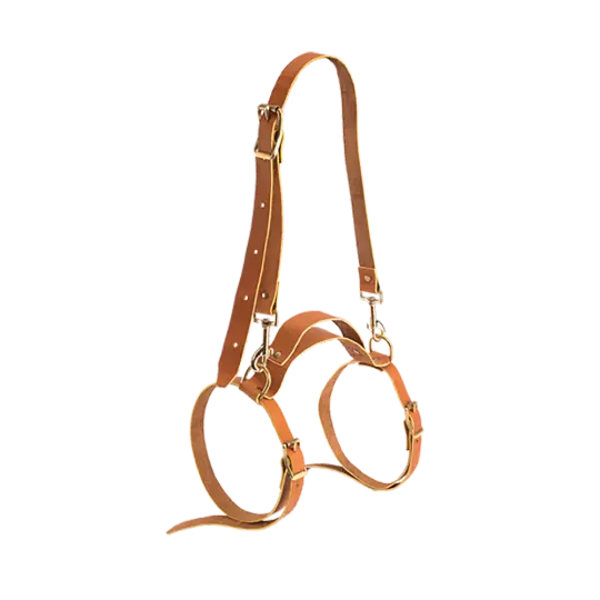 Leather Blanket Harness