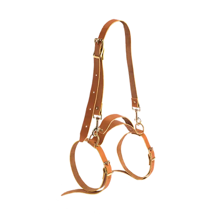 Leather Blanket Harness