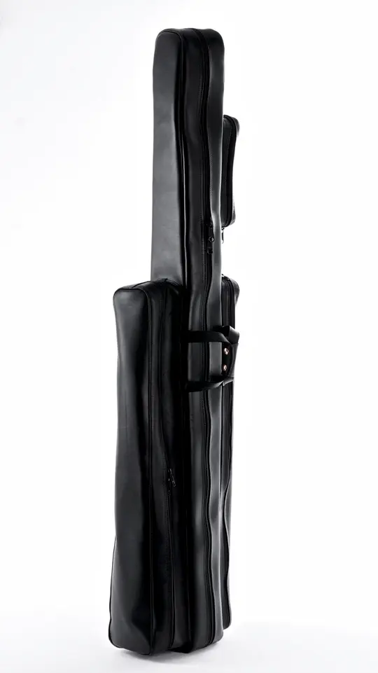 Steinberger and Standard Cello Gig Bag