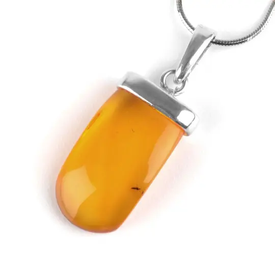 Unisex Insect Inclusion Pendant