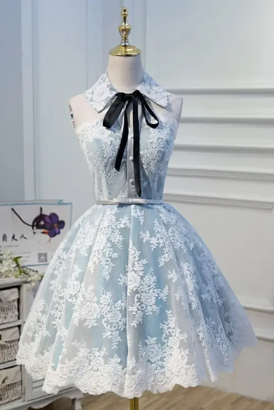 Silky Lace Embroidered Women's Homecoming Dress Blue Corset Mini Birthday Dress RS2329