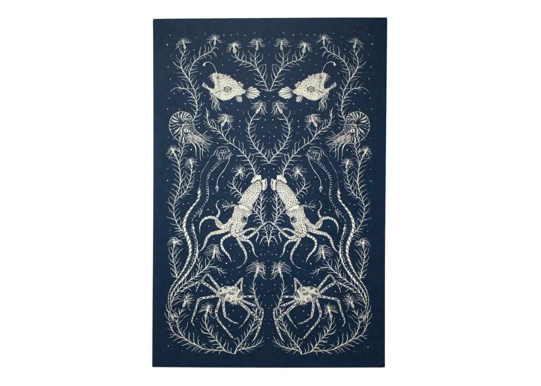 Deep Sea Ecosystem Poster