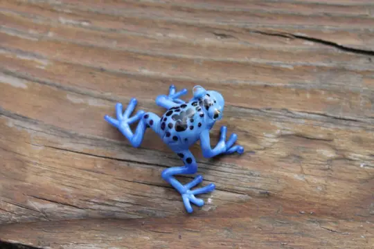 Handmade Blue Spotted Glass Frog Figurine - Lampwork Murano Art