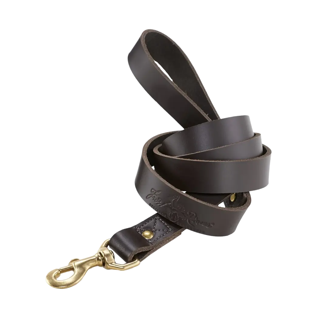 Dog Leash