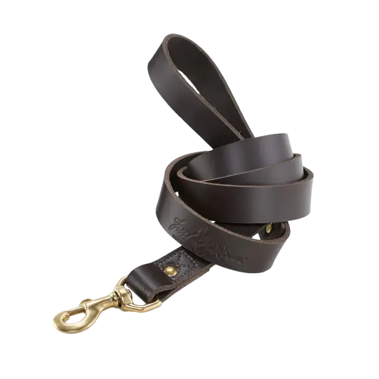 Dog Leash