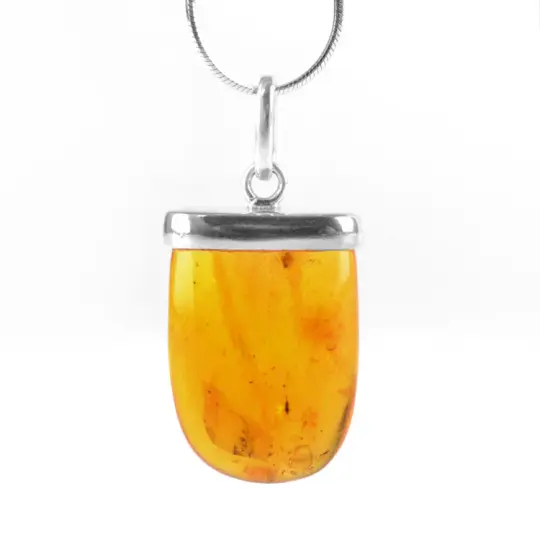 Unisex Amber Pendant with Insect