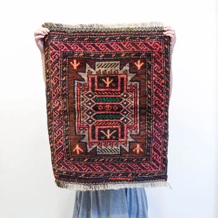 Baluchi Wool Rug in Brown and Red with Green Zig Zags