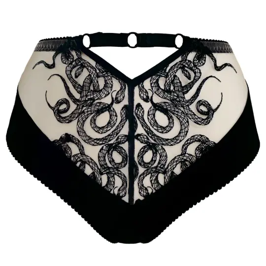 ASPIDIS EMBROIDERY HIGH WAIST BRIEF