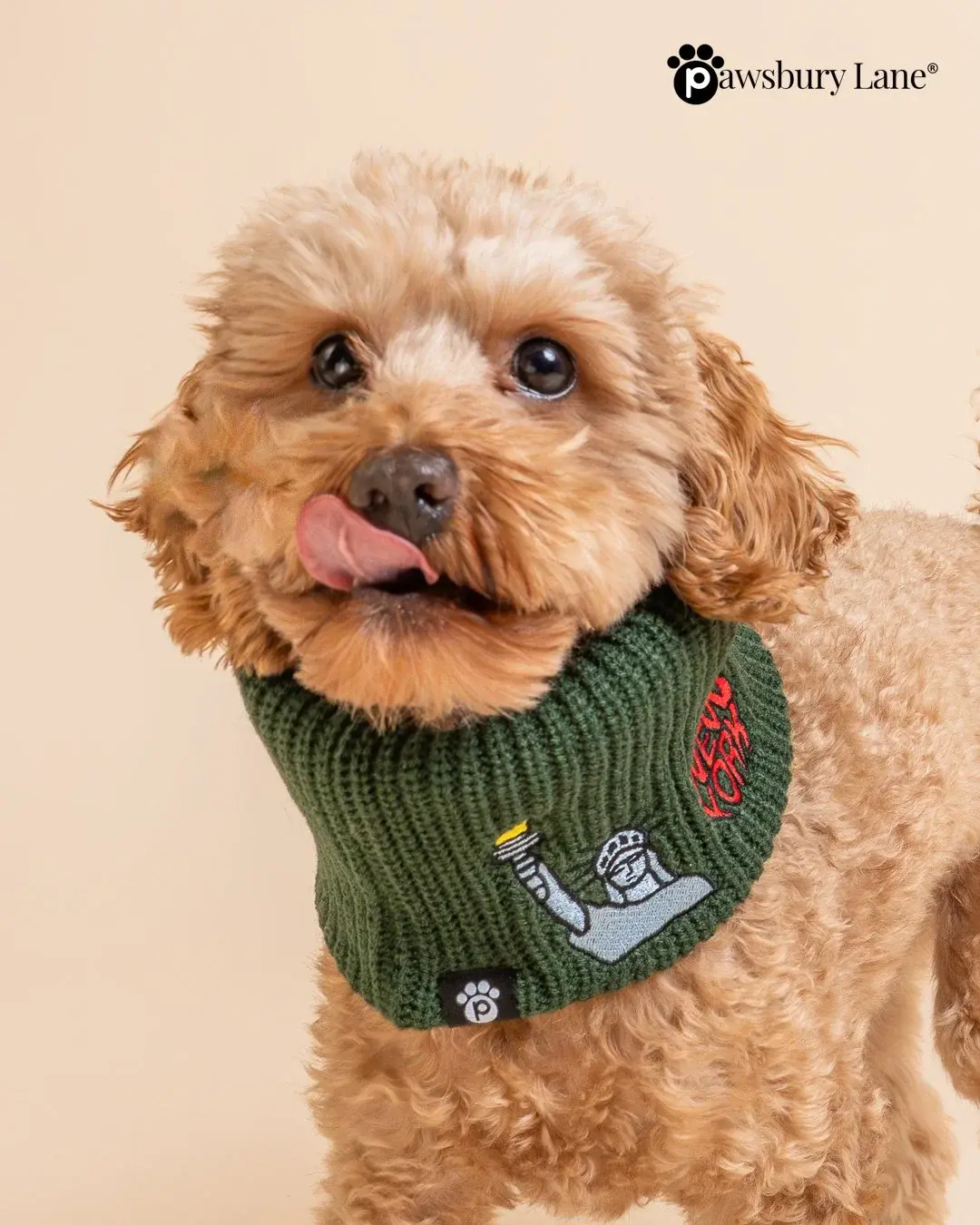 NYC Embroidered Knit Dog Snood – Apple & Liberty (Green)