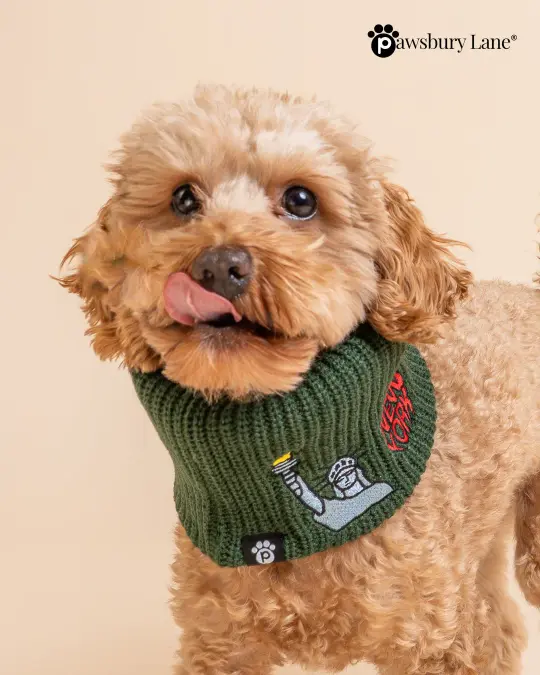 NYC Embroidered Knit Dog Snood – Apple & Liberty (Green)