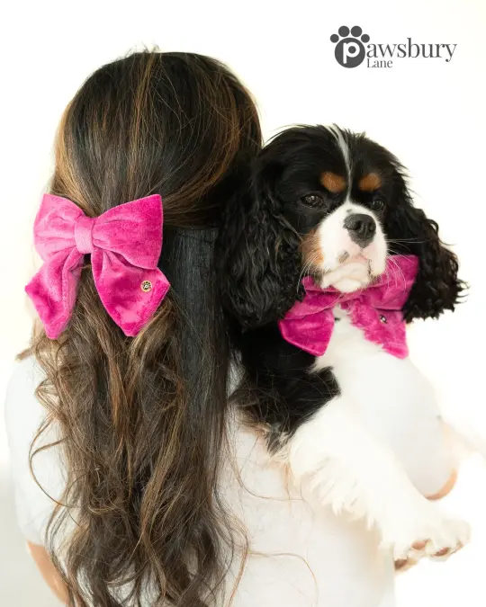 Classic Velvet - Berry Pop -  Human Bow Barrette and Pet Bow - Bundle & Save