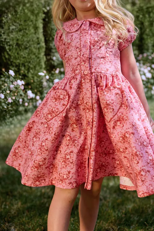 Mini Alayna Play Dress in Desert Heritage Rose