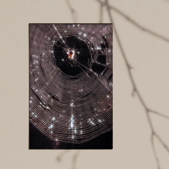 Constellations Giclee Print