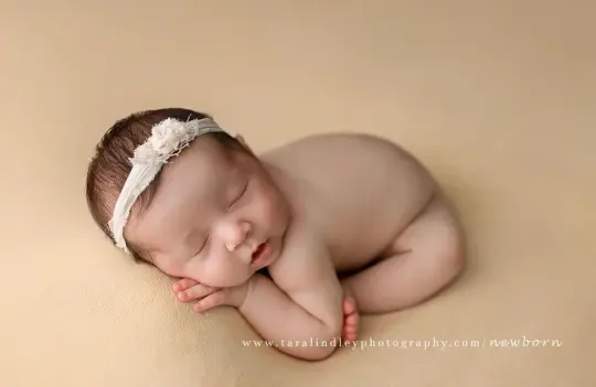 Chloe thick knit beanbag backdrop in Butterscotch