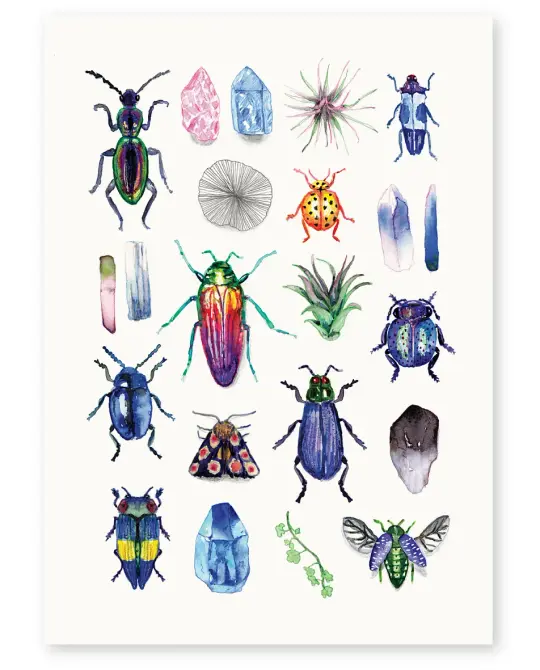 'Beetles' Limited Edition Art Print