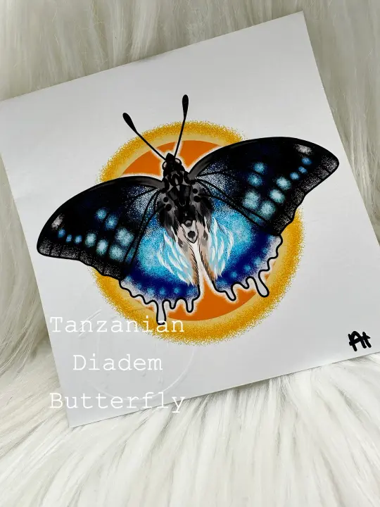 5"x5" Insect Prints (5 options) B