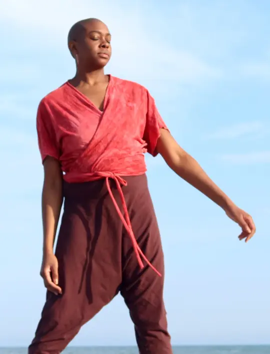 Butterfly Wrap Shirt