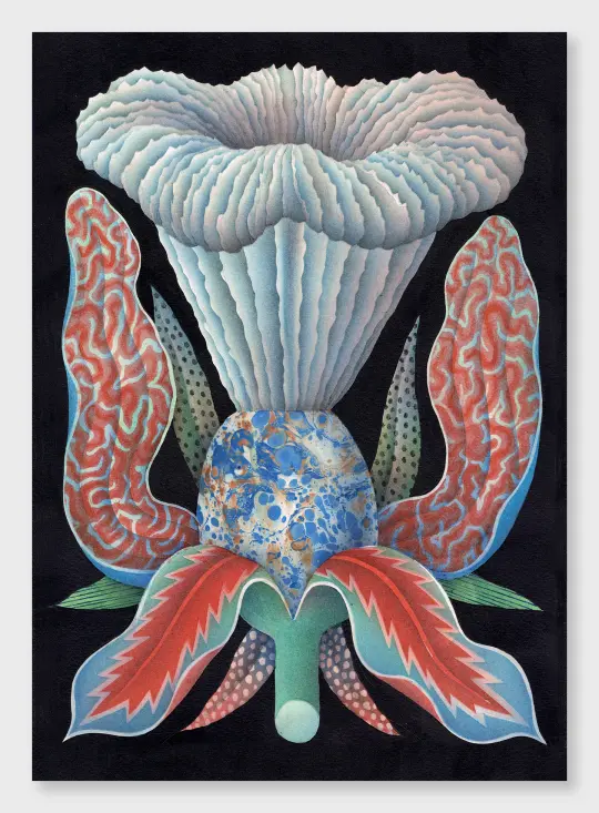 Coral Flower (50 x 70)