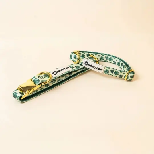 Monstera - Pet Collar